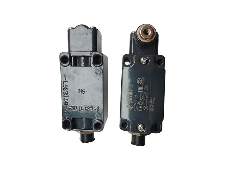 60117974 Limit Switch GY-S-1NO+1NC-75 FD531-K50